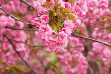 绍兴上虞区3线下个人借款平台一站式服务，轻松解决资金难题