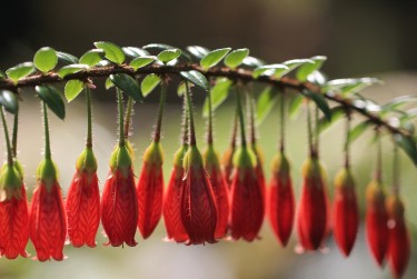 绍兴上虞区3零用贷短借：轻松解决临时资金需求