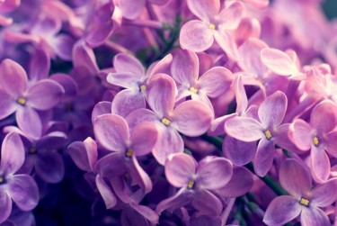 绍兴上虞区3企业急用钱贷款攻略：快速融资解燃眉之急